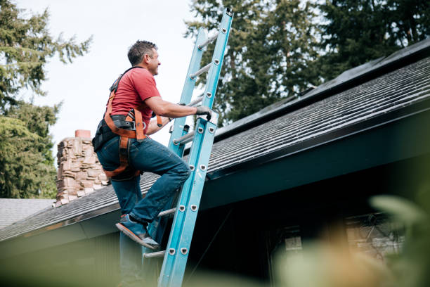 Best Roof Moss and Algae Removal  in Shasta Lake, CA