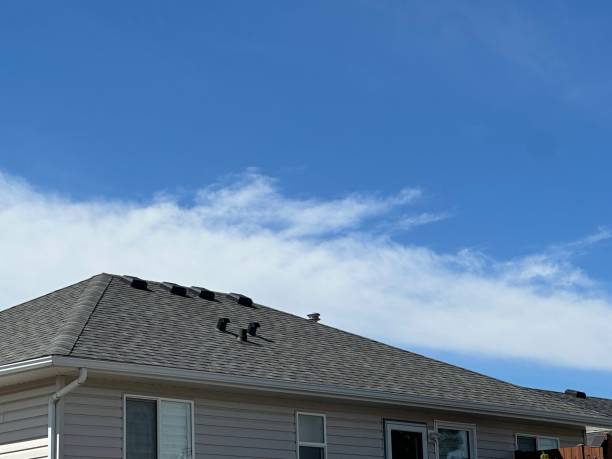 Professional Roofing Services in Shasta Lake, CA